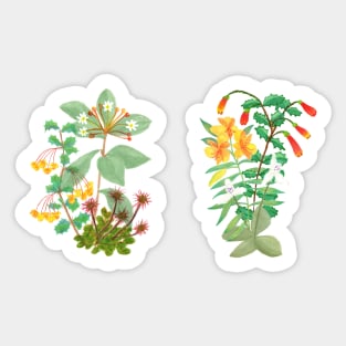 Wildflower bouquets painted illustration Sticker